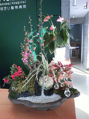 花