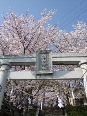 白山神社