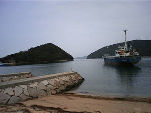 海