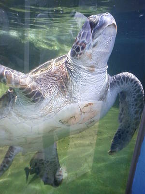 水族館