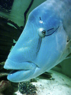 水族館