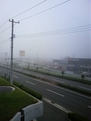 朝霧