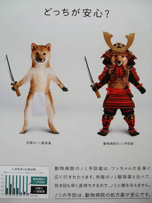 ポスター