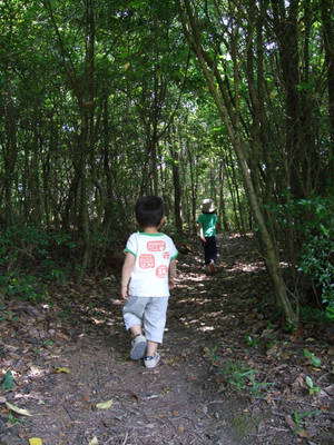 峰山公園