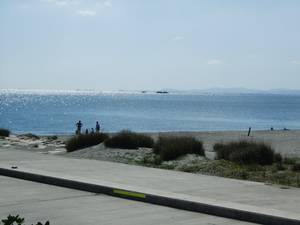 砂浜
