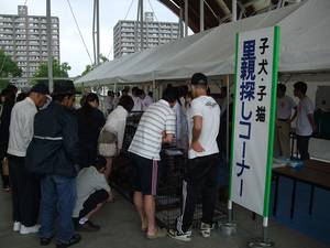 動物愛護フェスティバル