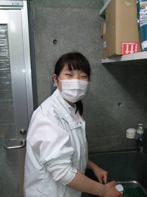 実習生