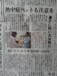 新聞