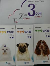 ブラベクト