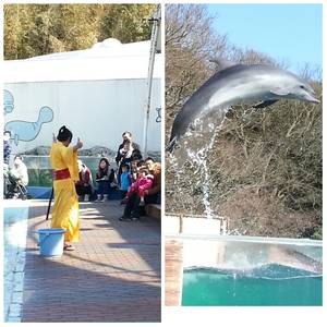 水族館