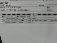 バベシア