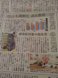 新聞
