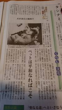 コラム