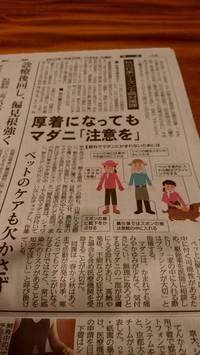 記事