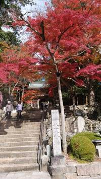 大窪寺