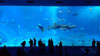 水族館