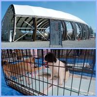 動物愛護フェスティバル
