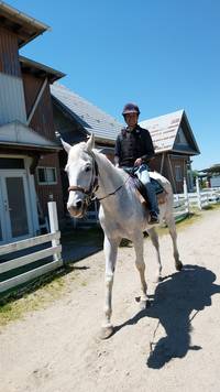 乗馬