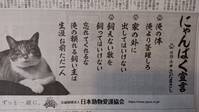 にゃんぱく宣言