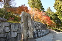 雲辺寺