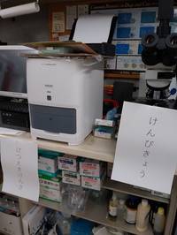 街たんけん