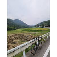 田舎道