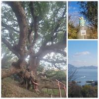 志々島