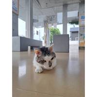 ねむ