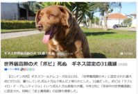 ギネス犬