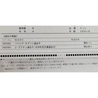 バベシア