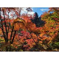 大窪寺