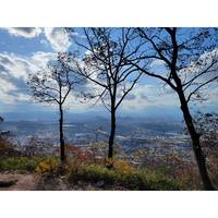 屋島