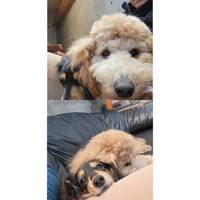 まったり