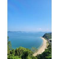 海