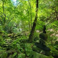 三頭山