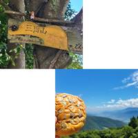 三頭山