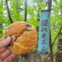 山歩