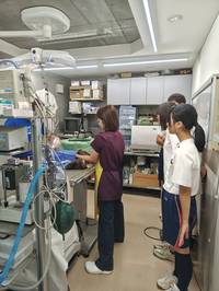 職場体験実習