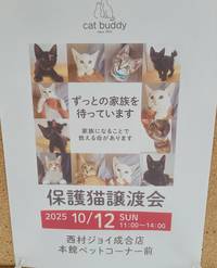譲渡会