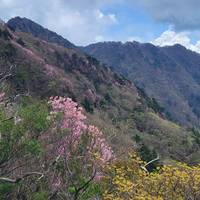 山肌